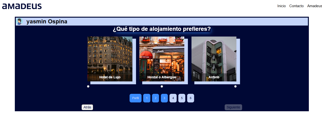 Amadeus Frontend - image 6